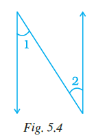 Page 123 Chapter 5 Class 7th NCERT Exemplar